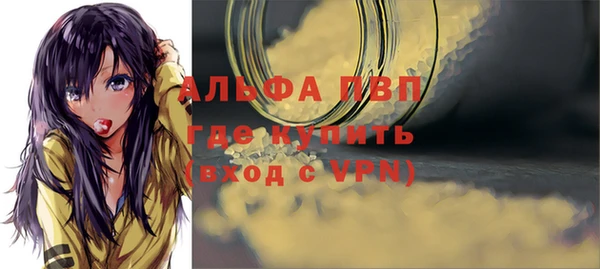 гашик Верея