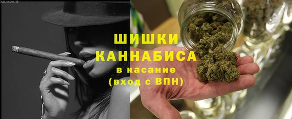 гашик Верея