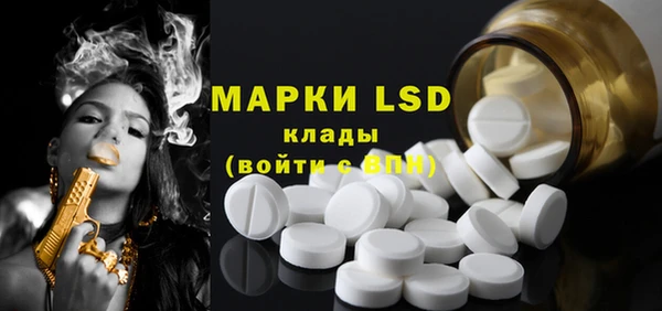 гашик Верея