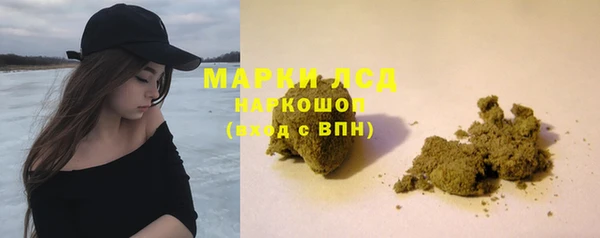 гашик Верея