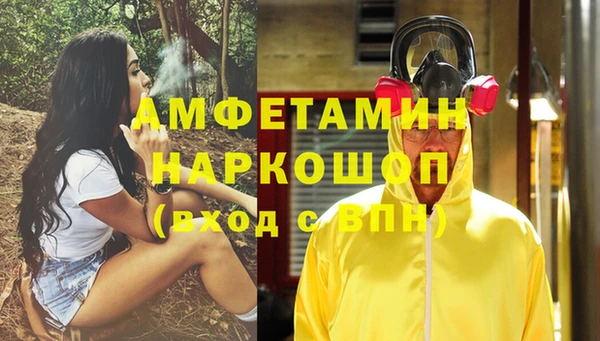 гашик Верея
