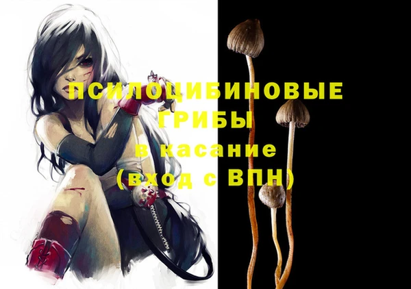 spice Волоколамск